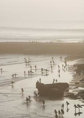 Sunset Surfers