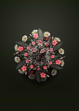 Hoary Diplopappus Wreath