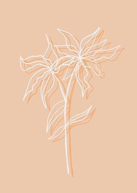 Peach fuzz shade flower