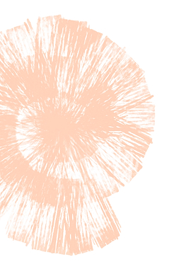 Peach Fuzz Abstract Shell