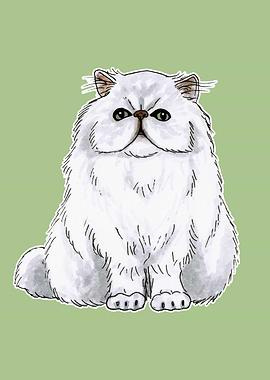 Persian cat