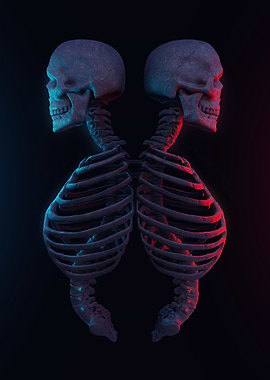 Skull twins