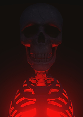 Realistic human skeleton