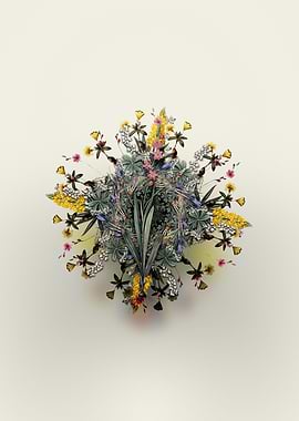 Ixia Scillaris Wreath