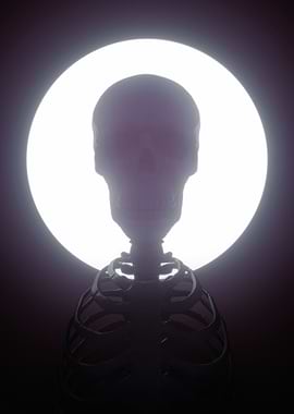 Realistic human skeleton