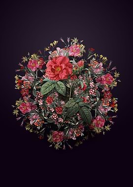 Apothecary Rose Wreath