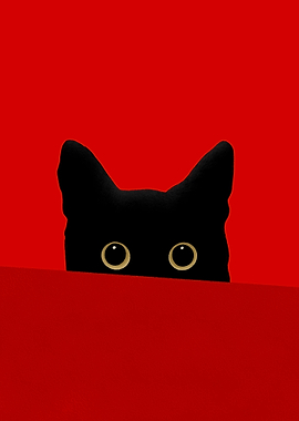 Black cat