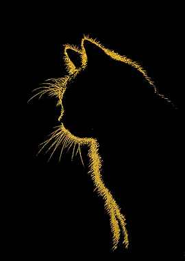 Gold Cat