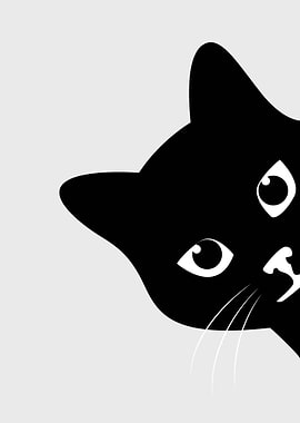 Black Cat Peeking