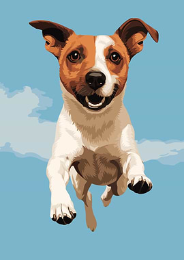 Jack Russell Terrier Jump