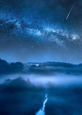 Milky way over forest