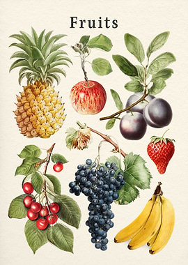 fruits Collection
