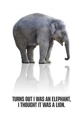 am I an elephant