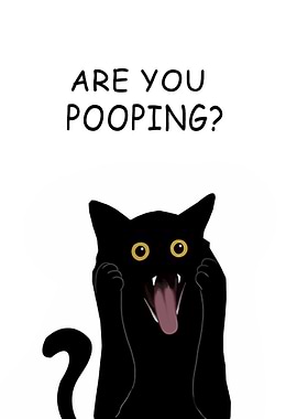 BLACK CAT ARE YOU POOPING