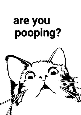 BLACK CAT ARE YOU POOPING
