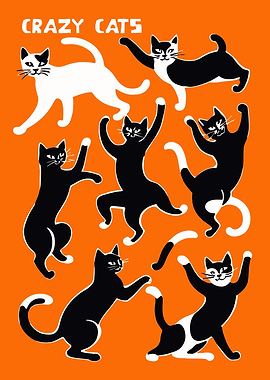 Crazy Cat Orange Poster