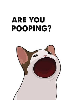 BLACK CAT ARE YOU POOPING