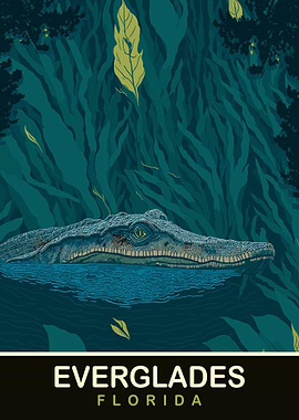 Alligator in Everglades