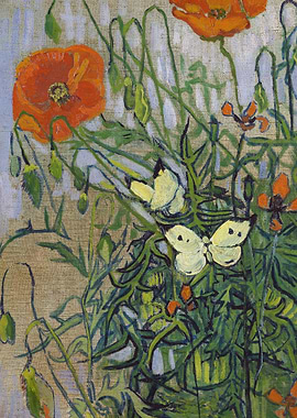 Butterflies and poppies