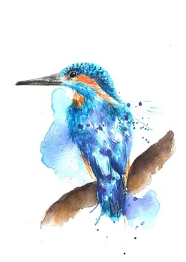 Splatter Kingfisher