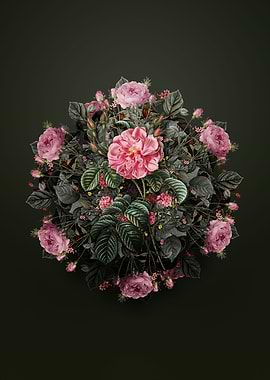 Pink Wild Rose Wreath