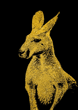 Kangaroo Gold
