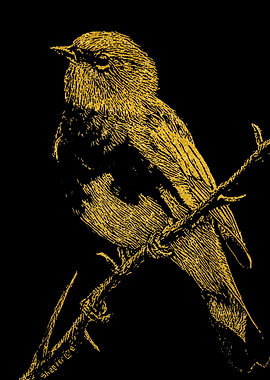 Birds Gold