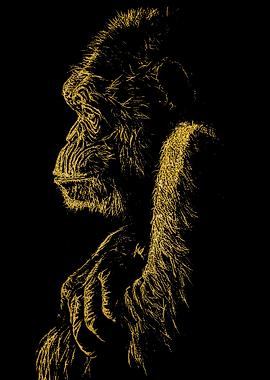Chimpanzee Gold