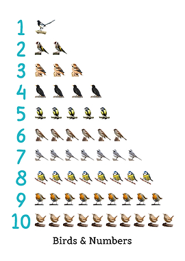 Birds and numbers