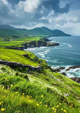 Irish coastlines