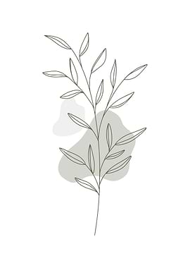 Little Plant Minimalist