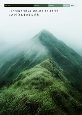 Color Palette Mountain 1