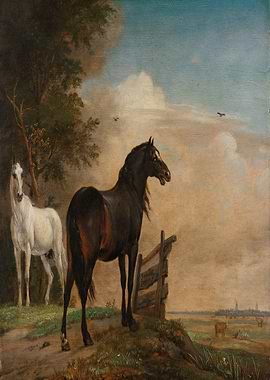 Two Horses in Meadow near