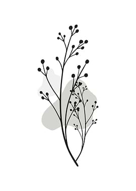 Wild Plant Botanical