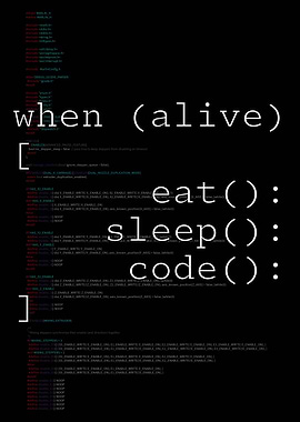 Eat Sleep Code