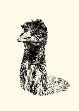 Emu portrait