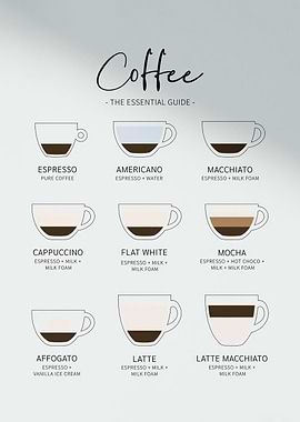 essential coffee guide