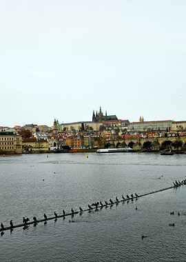 Prague Castle