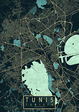 Tunis City Map Summer