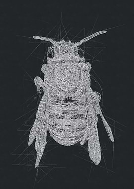 Bee Art Drawing