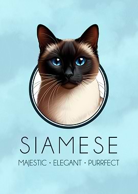 Siamese Majesty
