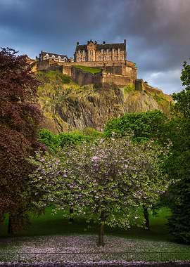 Spring in Edinburgh