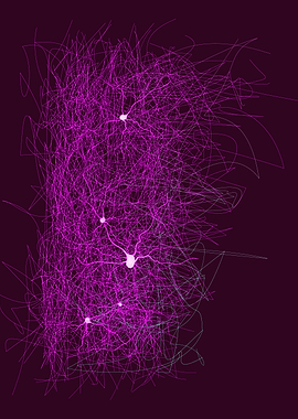 neuro link system Nervous