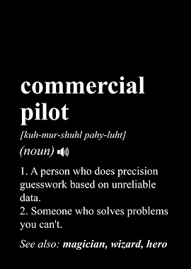 Pilot Funny Definition