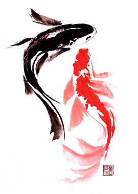 Crimson Dance Koi