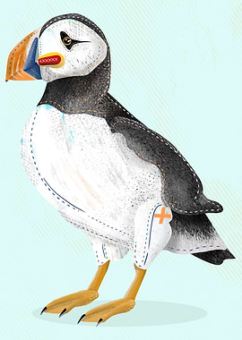 Puffin