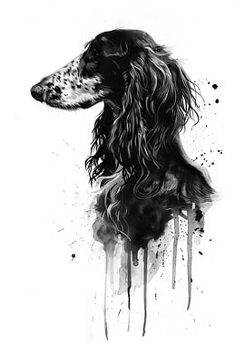 Afghan Hound Watercolor