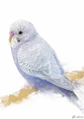 Budgie Portrait 005