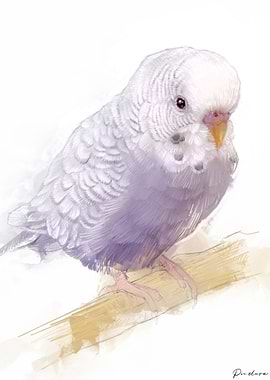 Budgie Portrait 002