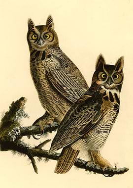 Vintage Great Horned Owl